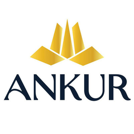 Ankur lifespace